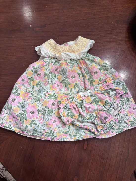 Joie Other - Pink & Yellow Floral Baby Dress with Bloomers
